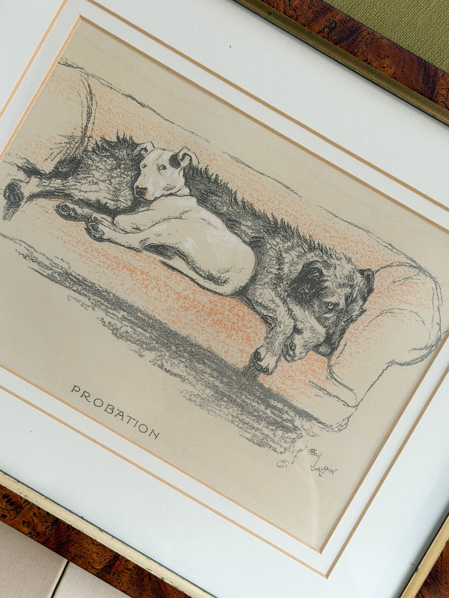 Framed Cecil Aldin “Probation” Dog Sketch