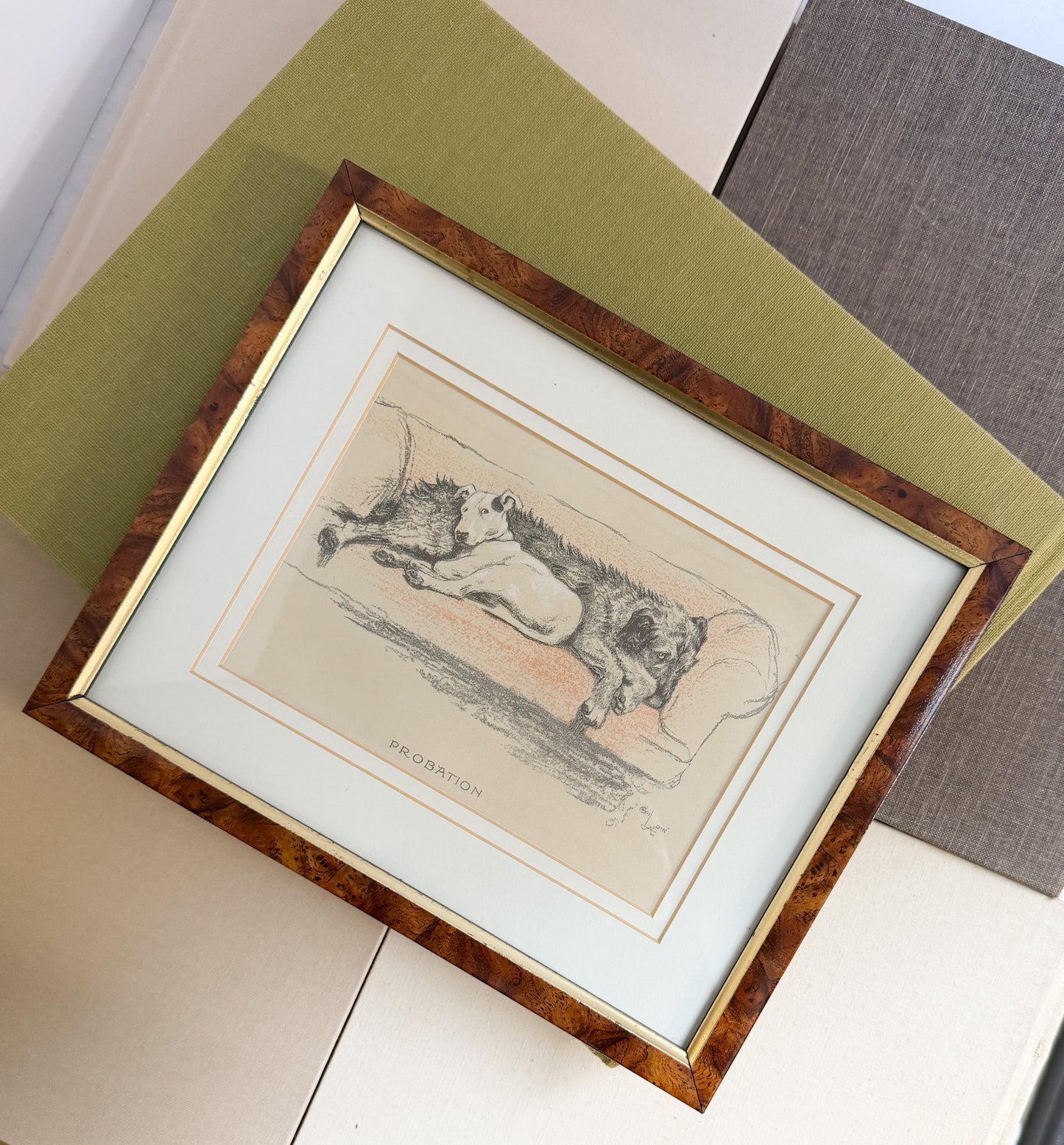 Framed Cecil Aldin “Probation” Dog Sketch